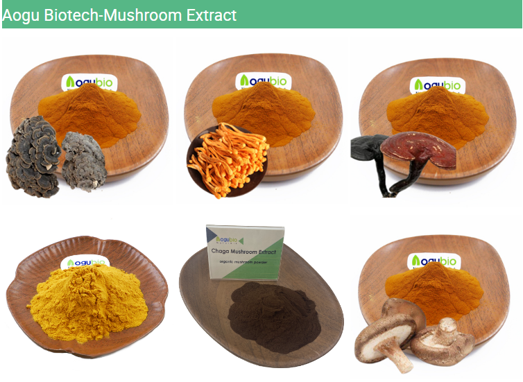 Mushroom Powder