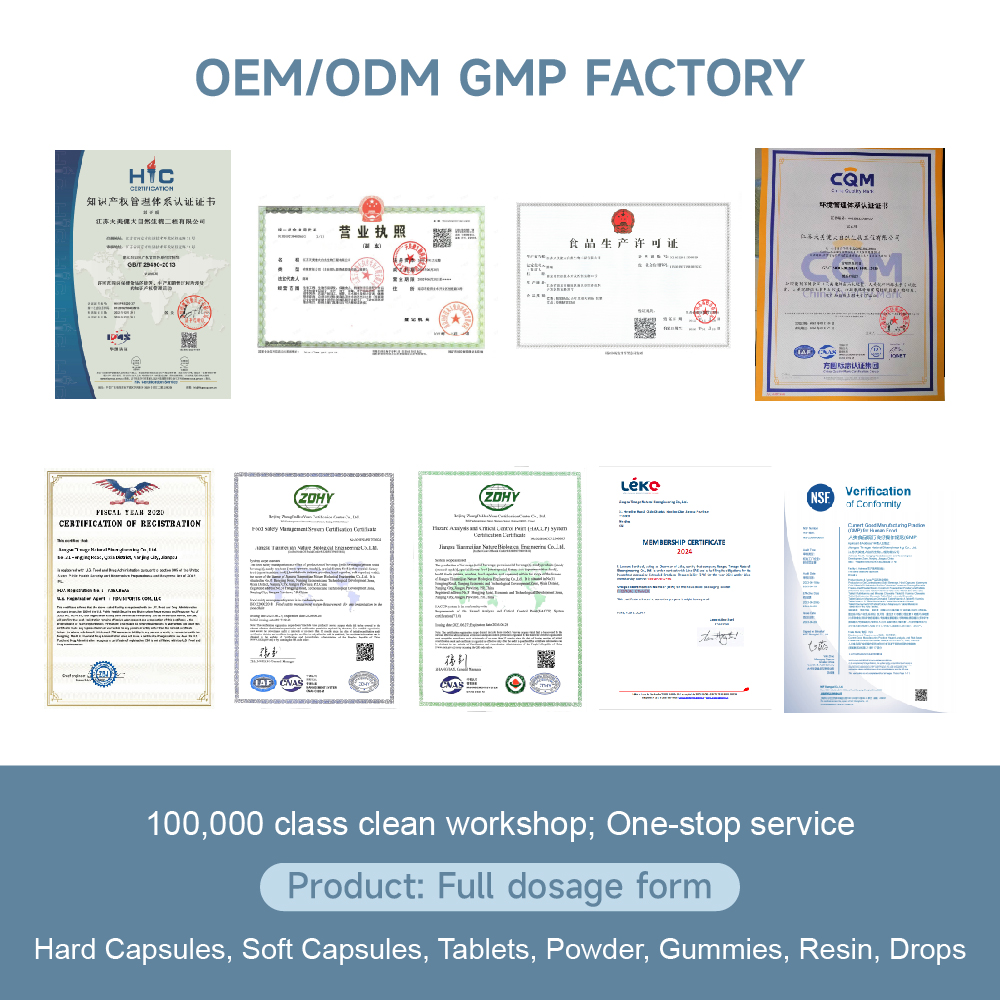 OEM Probiotics Formula Powder + Prebiotic Blend 100B CFU/g High Activity for Intestinal Flora Solid Drink Adult Health Food
