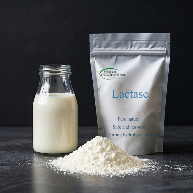 Food Grade 10,000 ALU/g Lactase Enzyme Powder For Lactose Hydrolysis And Dietary Supplement