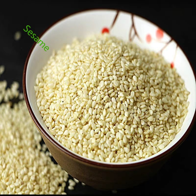 Roasted White Sesame/ 2021/Healthy Ingredient