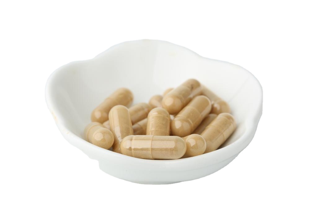 6 in 1 Superfood Mushroom Extract Blend Powder Organic Mushroom Powder Extract