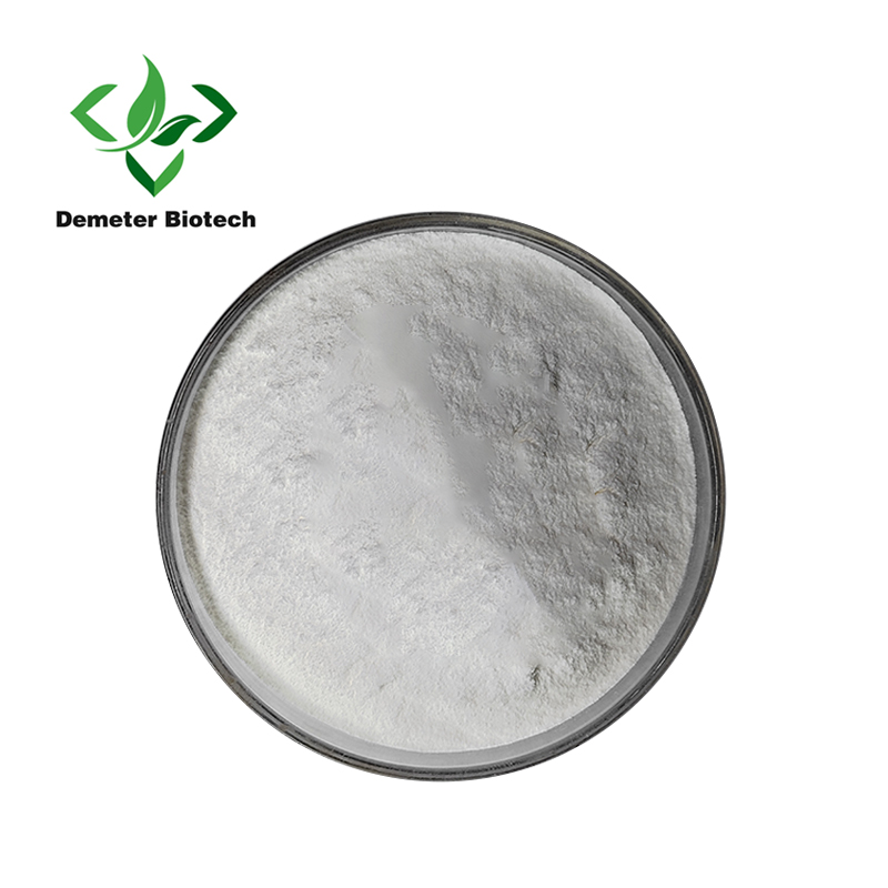 Food Grade 98% Betulinic Acid Powder White Herbal Extract in Bottle Drum or Plastic Container Supplying Quality Ingredients