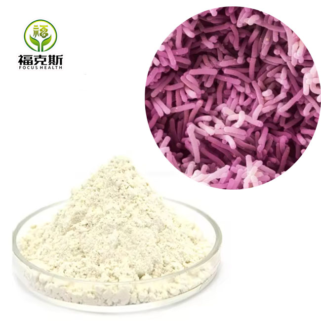 Probiotics Lactobacillus Casei for Food Ingredients From China Factory Freeze-dried Probiotics Powder Original Manufacturer