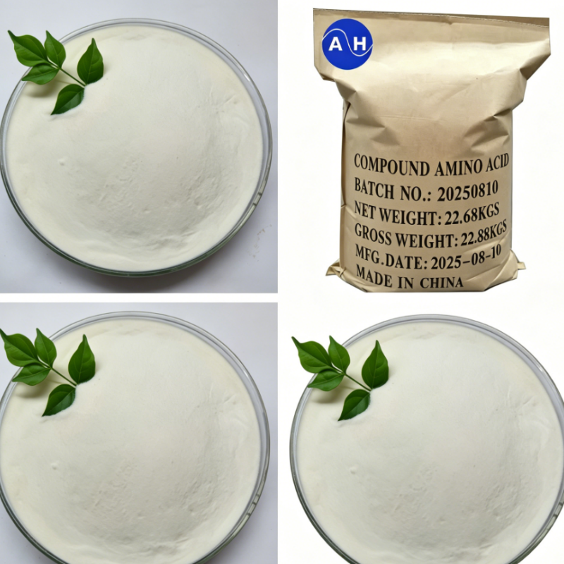 Water Soluble Plant-Based Amino Acid Powder 90 for Organic Farming Input