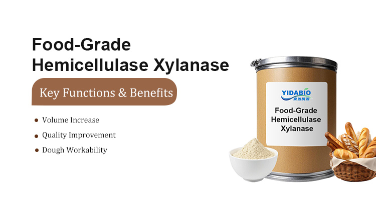 Xylanase Product Image