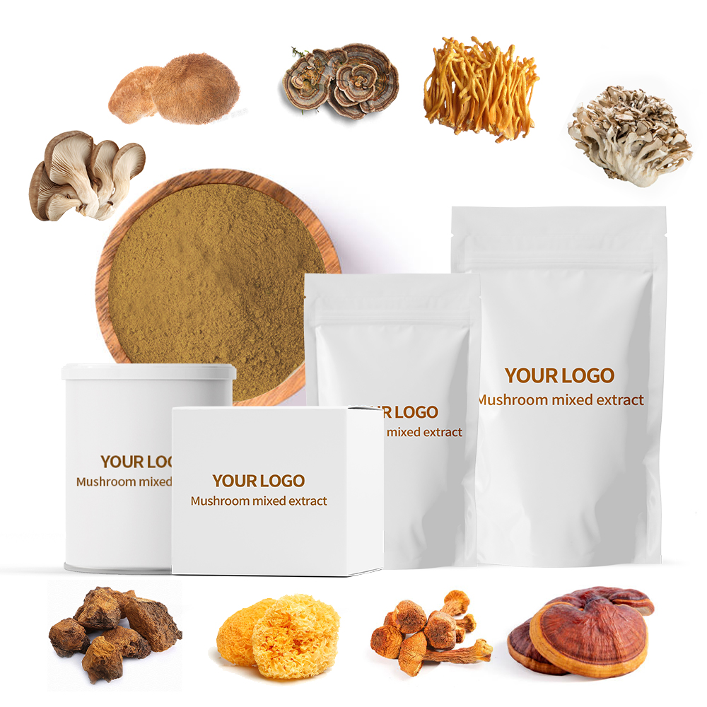 Factory Supply Natural High Quality Mushroom Blend Extract Powder Reishi,Chaga, Cordyceps, Lion's Mane