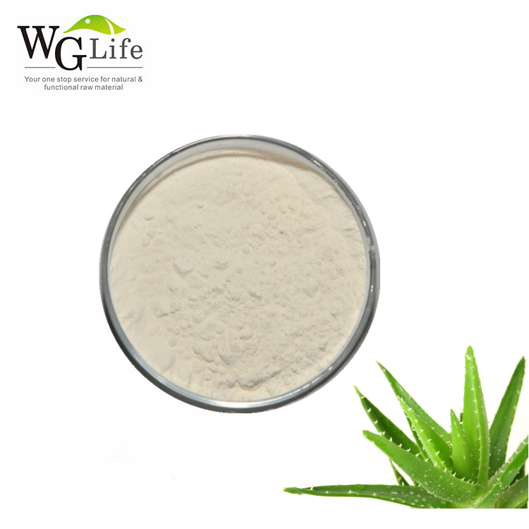Wholesale 100% Pure Aloe Vera Gel Extract 100x 200x Herbal Powder Natural Cosmetic Ingredients Food Grade Packaged in Drum
