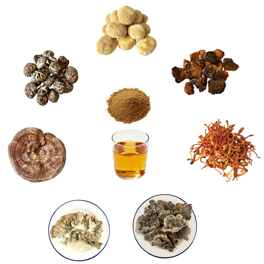 7 In 1 Mushroom Extract Blend Powder 30% Polysaccharides Solid Beverages
