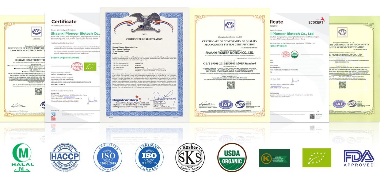 Quality Certification and Standards