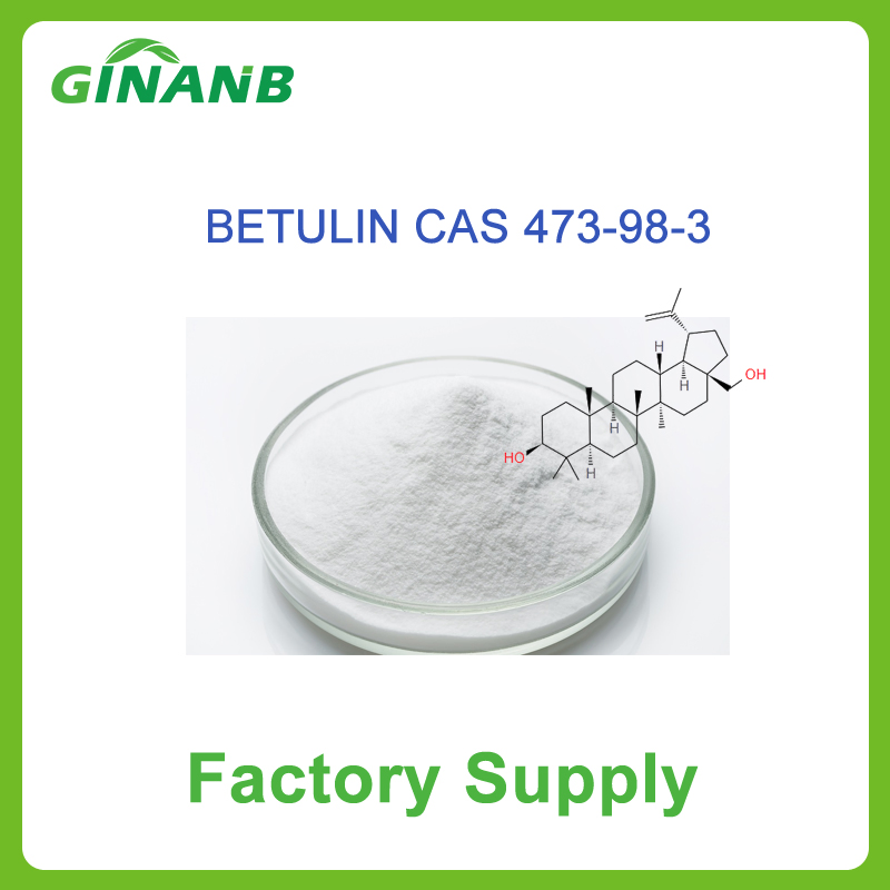 High Purity Urolithin a Nutraceutical and Sports Nutrition Ingredient