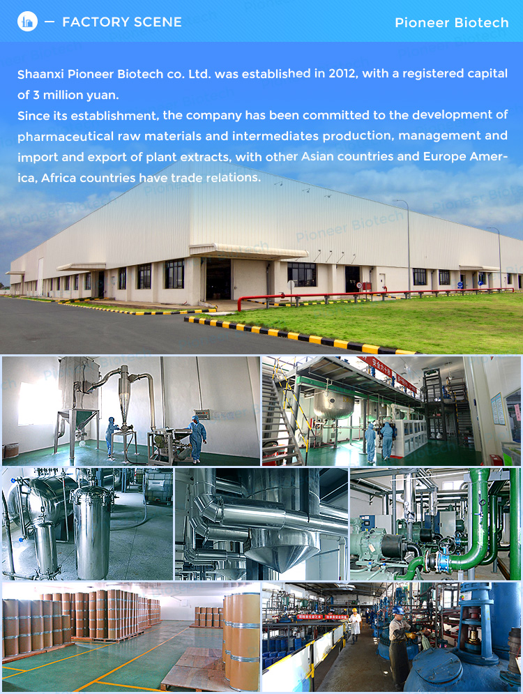 Manufacturing Plant Overview