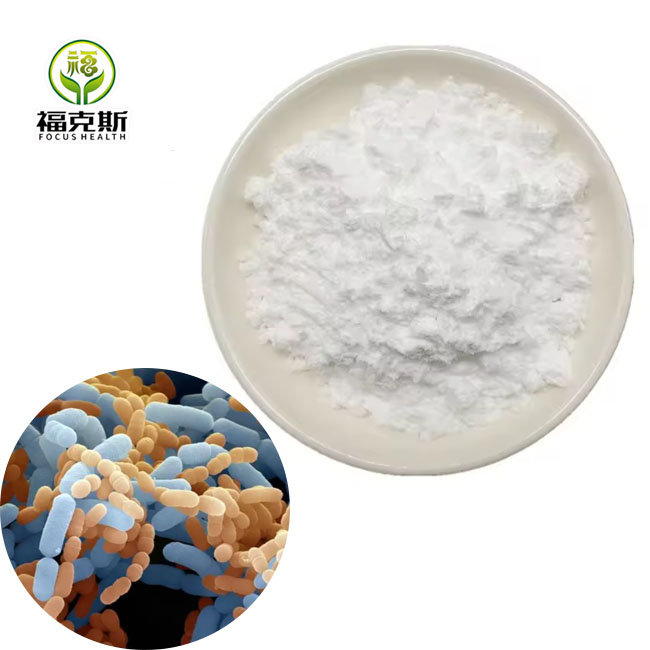 Probiotics Lactobacillus Casei for Food Ingredients From China Factory Freeze-dried Probiotics Powder Original Manufacturer
