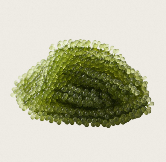 TW Sea Grapes PDRN 1000ppm Botanical Marine Derived Cosmetic Raw Material Polynucleotide Active Ingredient For Advanced Skin