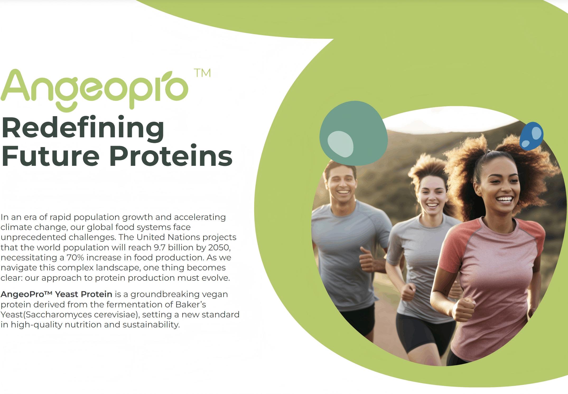 2026 Angeopro Yeast Protein Fermented High Yeast Protein Extract Powder Hydrolyzed Yeast Protein Powder For Supplement/food