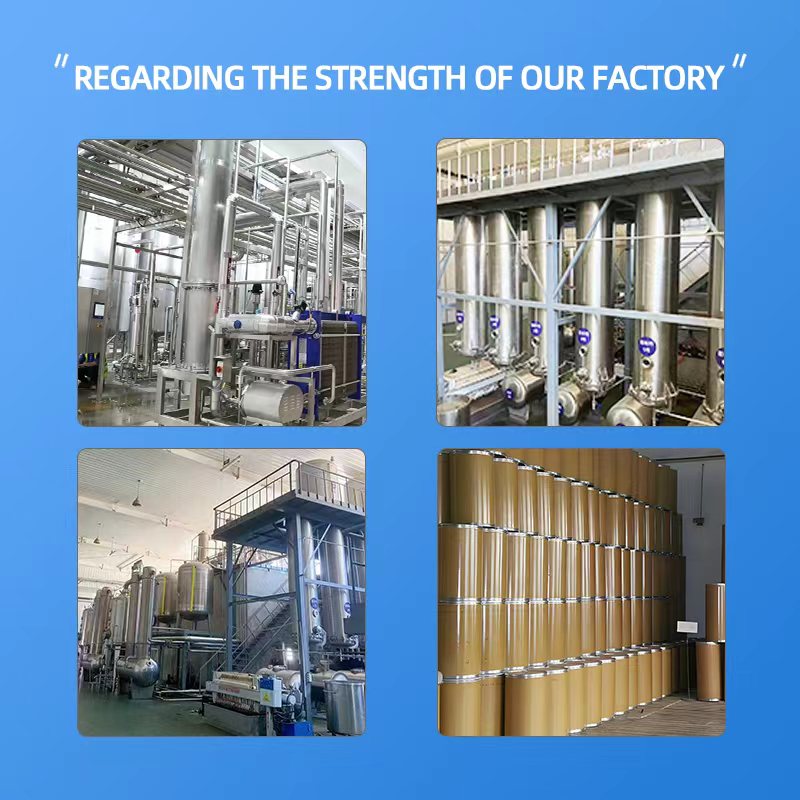ZhongCheng Supply Shiitake Powder 100% Food Grade Shiitake Powder
