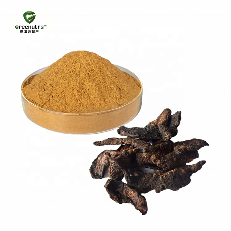 Radix Rehmanniae Extract Powder Glutinosa Extract Premium Quality Bulk Ingredients for Herbal Supplement Manufacturing