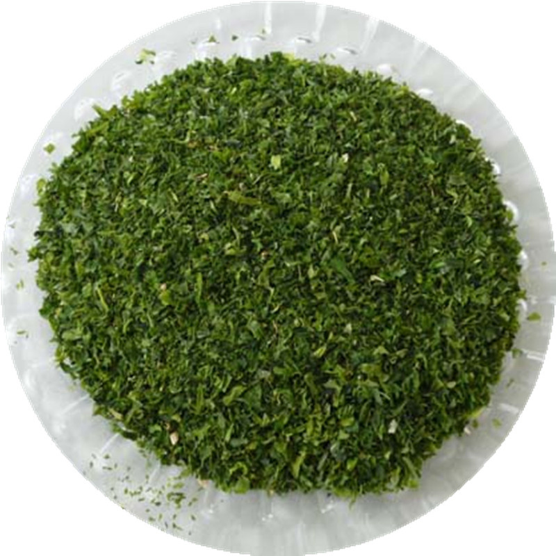 Premium Aquatic Feed Ingredients: Ulva Lactuca Meal for Sustainable Nutrition