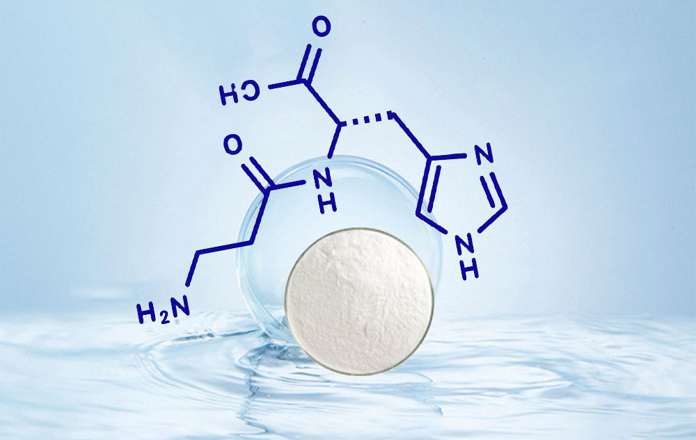 L-Carnosine Raw Material 99% High Purity Cosmetic Grade Anti-Glycation &amp; Anti-Aging Factory Direct Supply Cross-Border Export