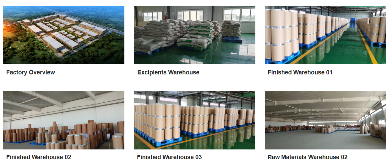 Lactobacillus Paracasei for Food Ingredients From China Factory Freeze-dried Probiotics Powder Original Manufacturer