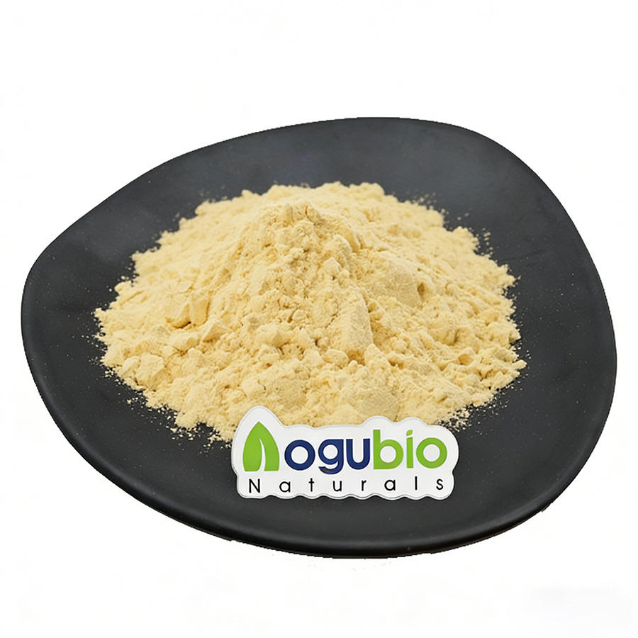 Food Grade Maltogenic Amylase 3000 U/g Enzyme Powder for Bread Softening and Anti-staling Bakery Ingredients Bulk Supply