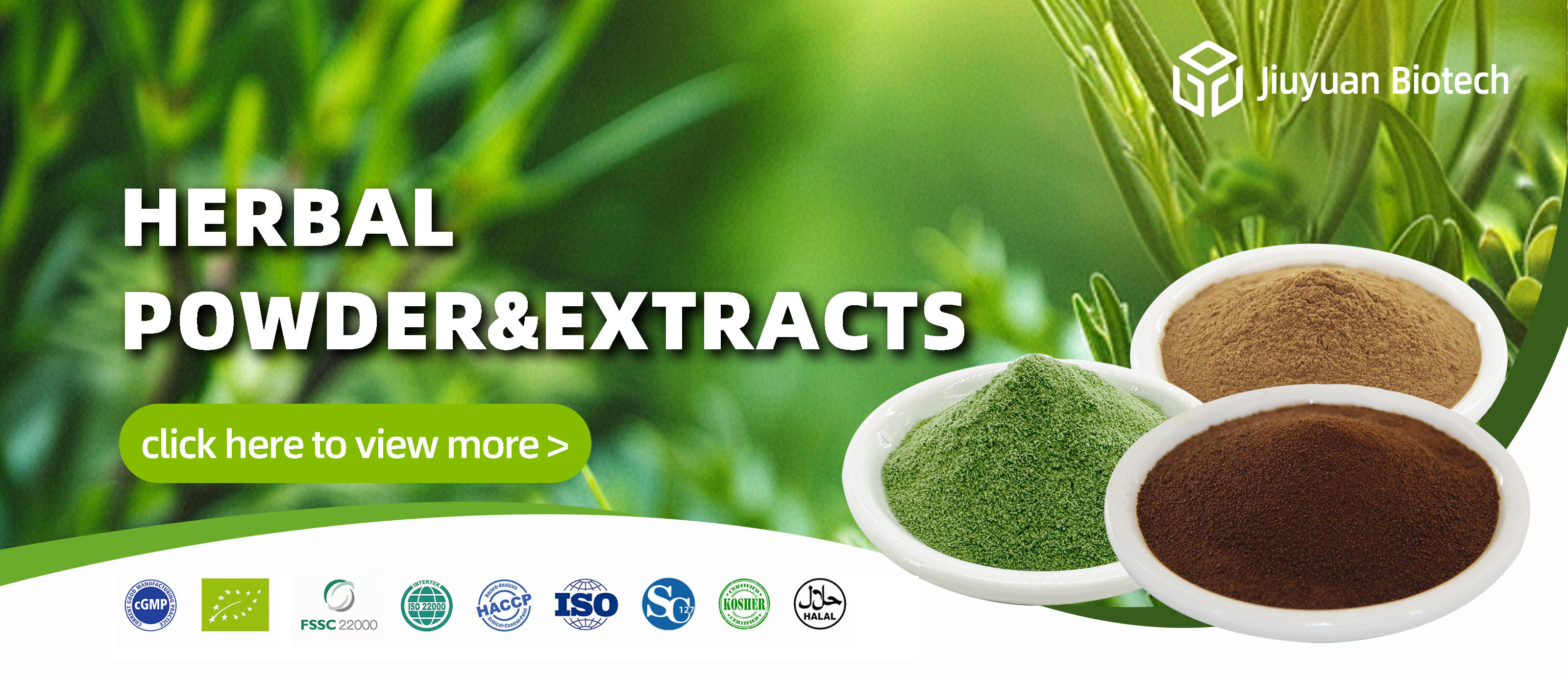 Black Cohosh Extract Powder Banner