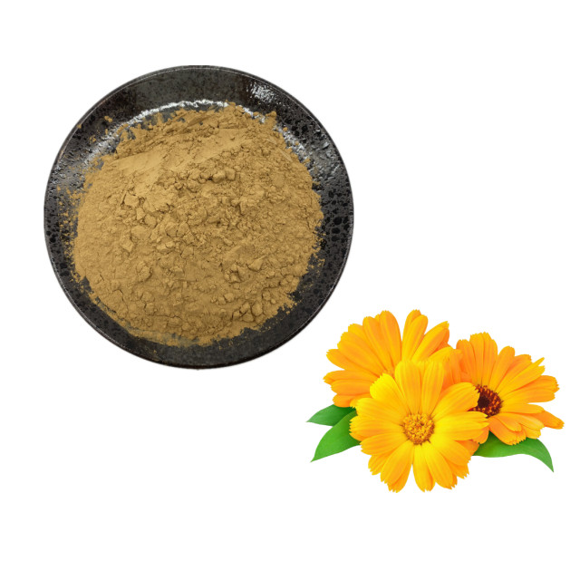 Natural Marigold Extract/Calendula Officinalis Extract Powder 10: 1 Marigold Flower Extract