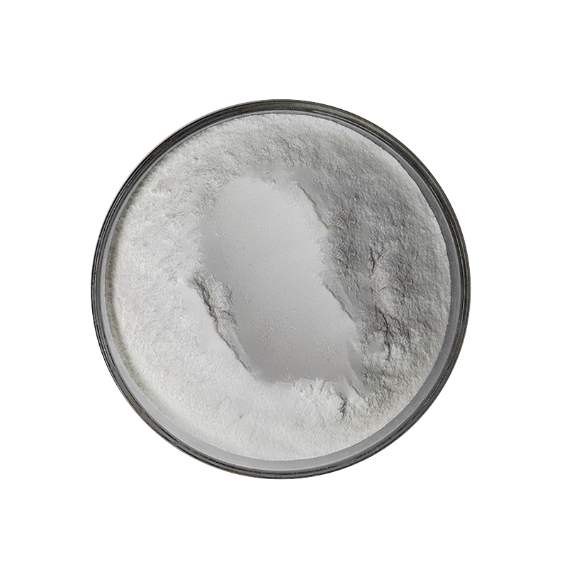 Food Grade 98% Betulinic Acid Powder White Herbal Extract in Bottle Drum or Plastic Container Supplying Quality Ingredients