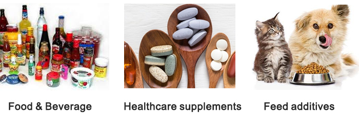 OEM Weight Management Raw Material L Carnitine Powder