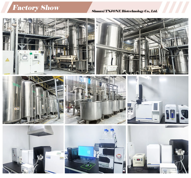 Quality Analysis Laboratory