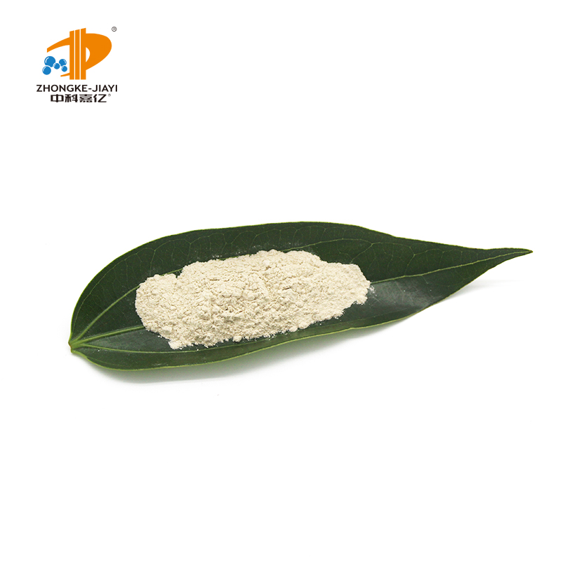 Probiotics Lactobacillus Gasseri Food Ingredients From China Factory Freeze-dried Probiotics Powder Original Manufacturer
