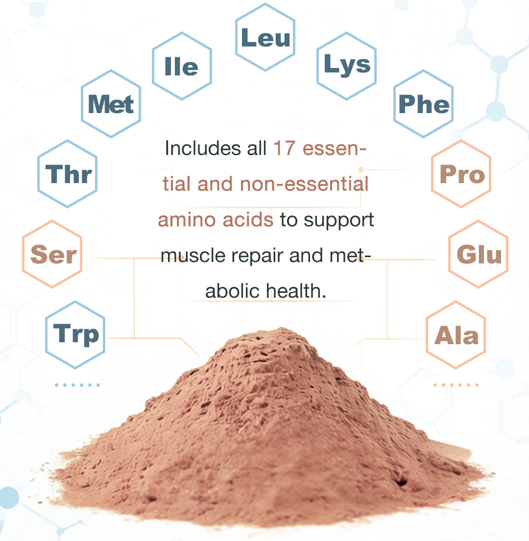 Fermented Protein Powder Model Scp a | Functional Protein Ingredient Bulk Supply From China