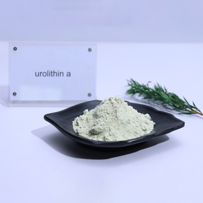 Premium Natural Urolithin a 98% Microbial Fermentation Nutraceutical Ingredient