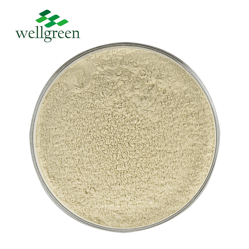 Hot Sales Factory Price Food Ingredients Soy Protein Isolate Suppliers