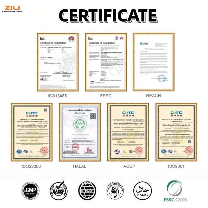 OEM Organic Certified Electrolyte Powder Drink Mix Sugar Free for Supplement for Sports Energy Muscle Recovery