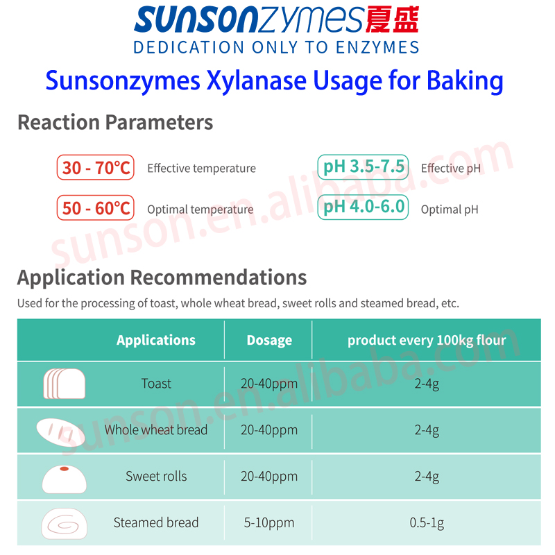 Baking Xylanase Enzyme for Food Processing Bakery Bread Improver, Bakery Ingredients for Dough Conditioner