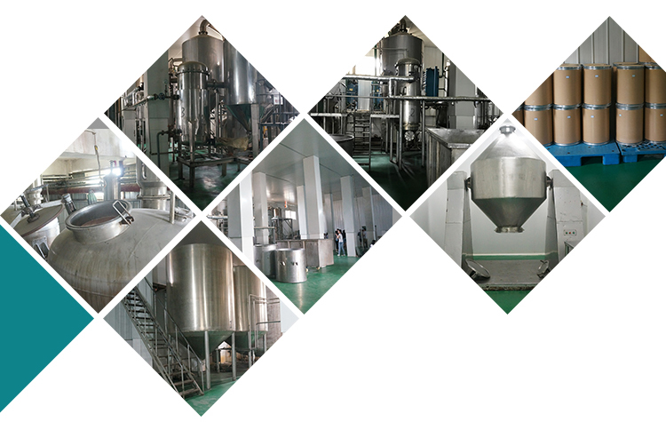 Factory Facility 2