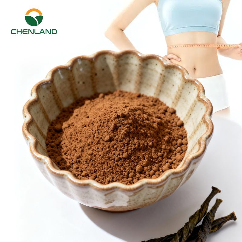 Health Supplement Slimming Ingredients For Adult with Kuding Tea Extract Support Weight Loss Promote Healthy Metabolism Capsules
