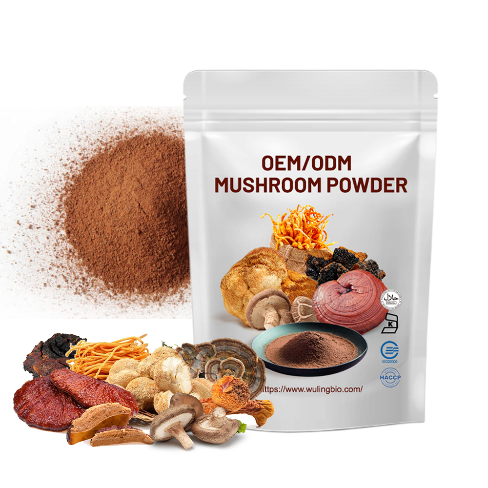 Lions Mane Blend Maitake, Chaga, Cordyceps, Ganoderma Reishi Mushroom Extract Powder Multi-Mushroom Formula Private Label