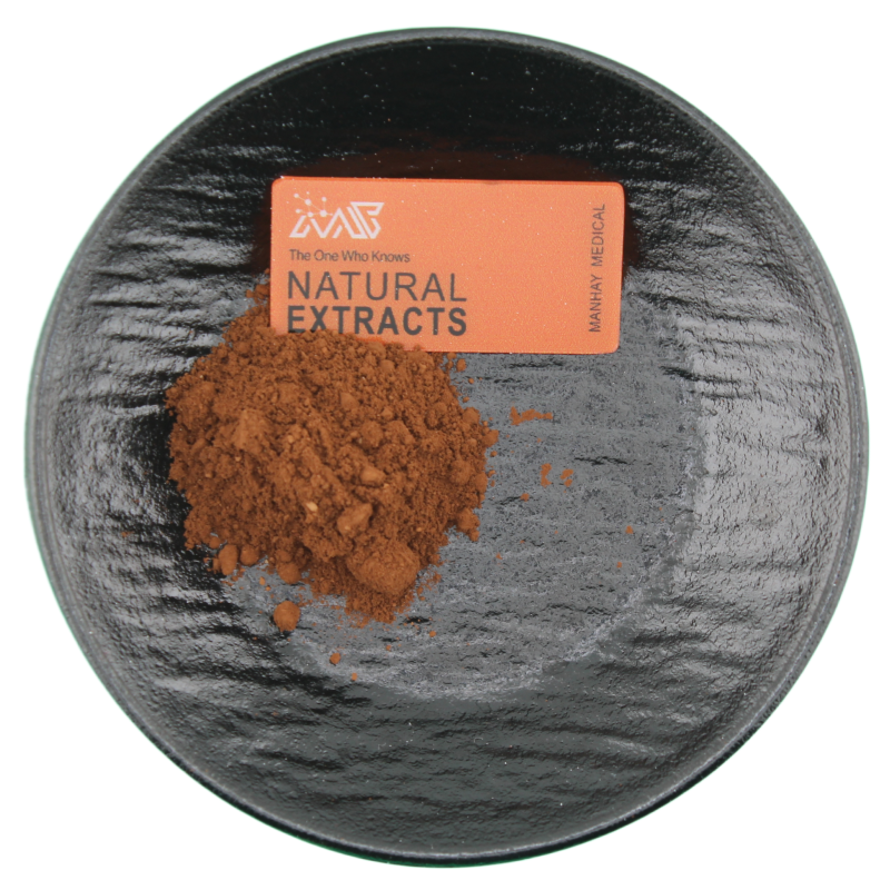 Manhay Natural Food Grade Plantago Ovata Plant Seed Herb Extract Powder Plantago Seed Extract