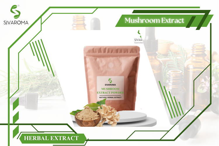 Industrial Supply of Flavorful Wild-Cultivated Mushroom Extract Powder for Tea Blends and Functional Foods