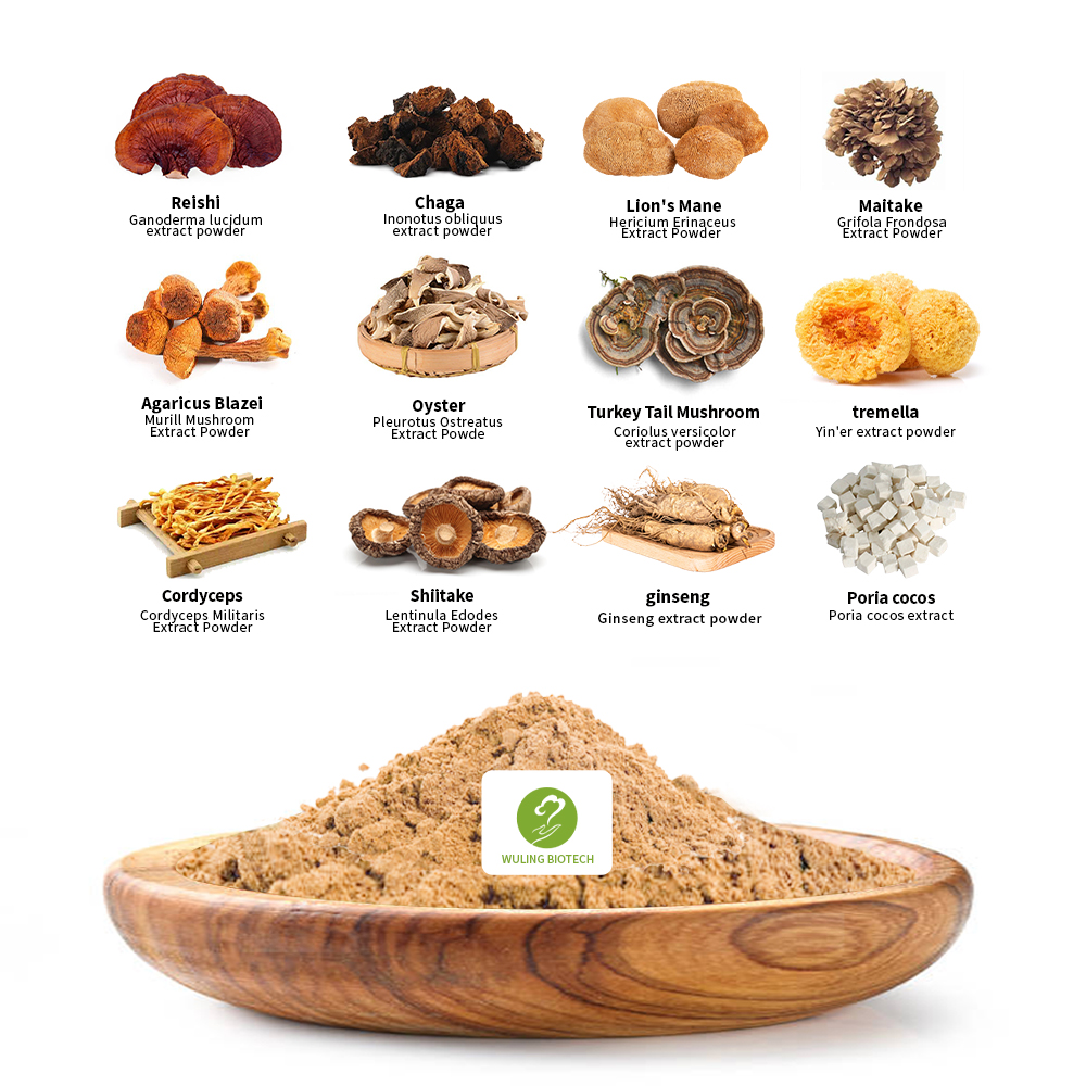 Lions Mane Blend Maitake, Chaga, Cordyceps, Ganoderma Reishi Mushroom Extract Powder Multi-Mushroom Formula Private Label