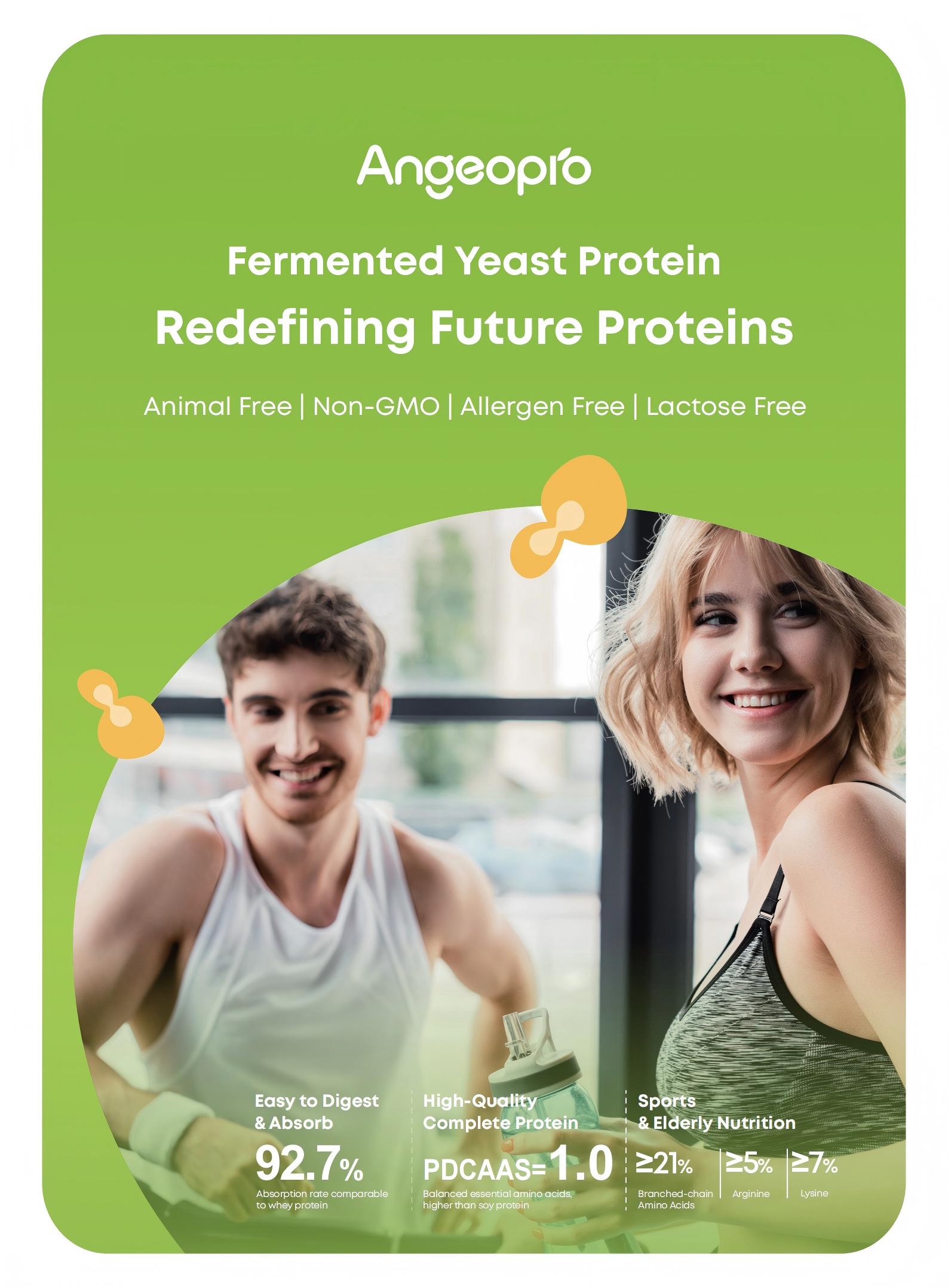Wholesale Bulk Protein Powder Angeopro Yeast Protein Powder 99% Pure Hydrolyzed Yeast Protein Powder