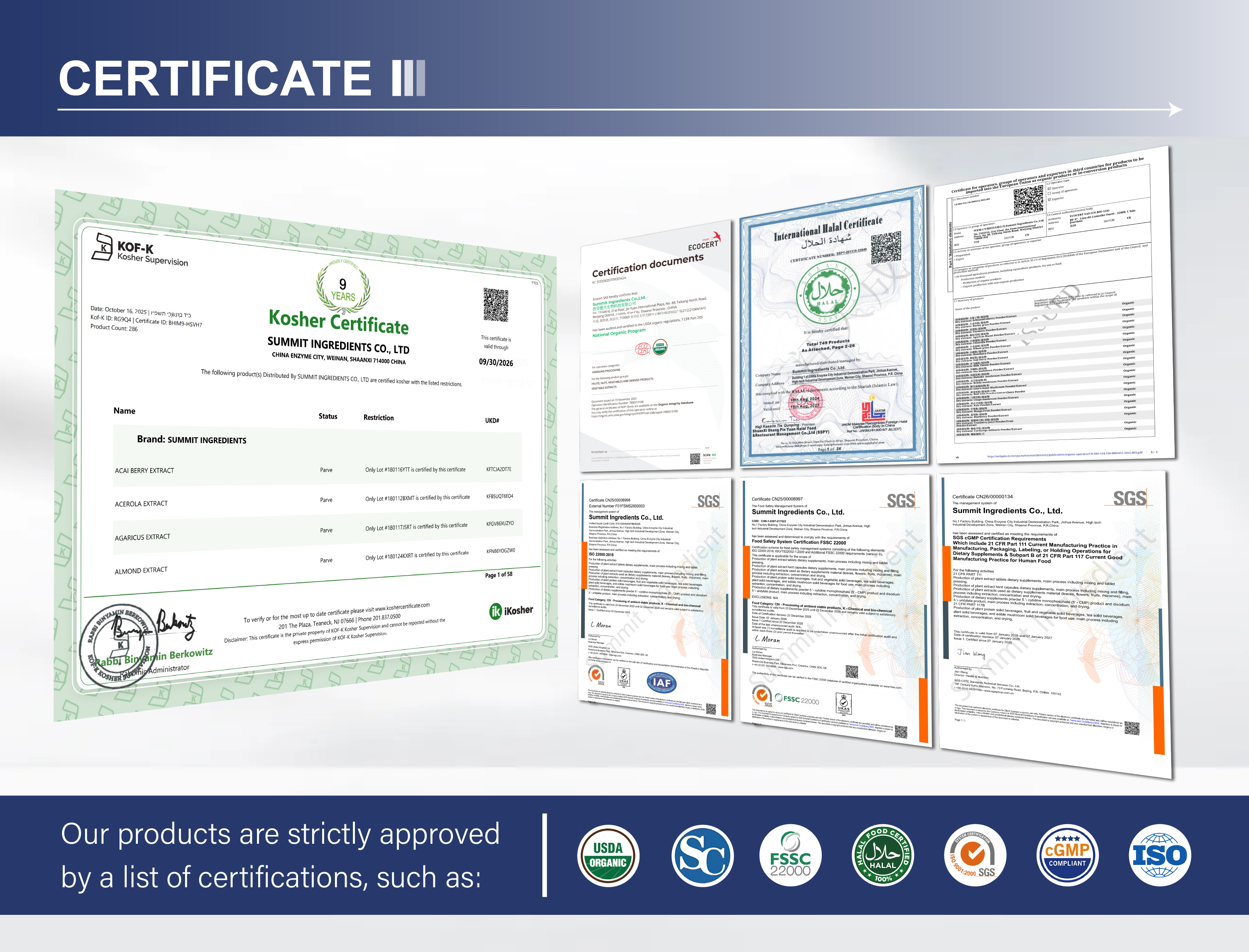 Lab Test Certificate 2