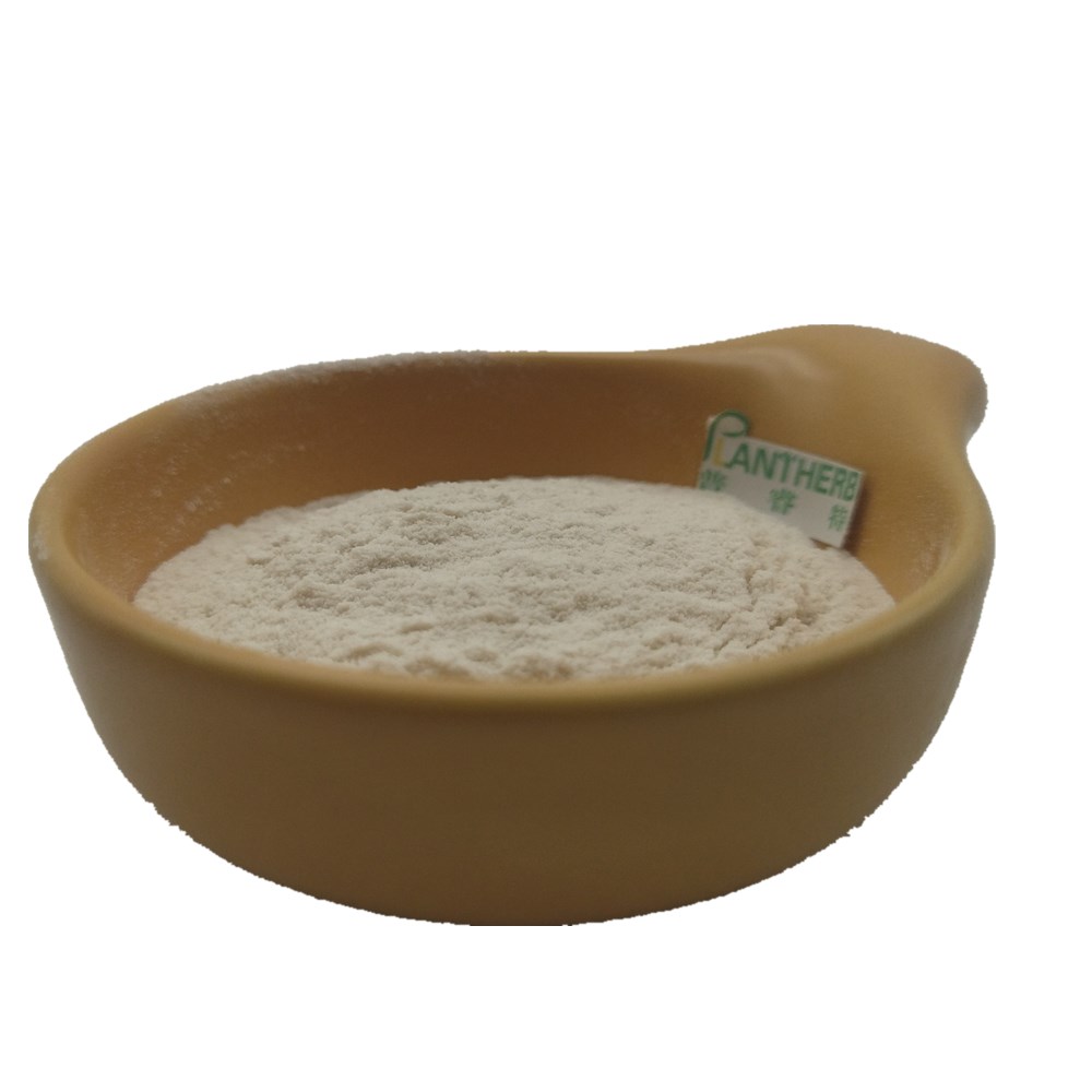 Factory Flavor Enzyme Enzyme Powder Flavourzyme Powder 30,000 U/g Food Grade Flavourzyme Enzyme Powder