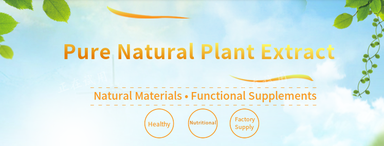 Product Header Banner