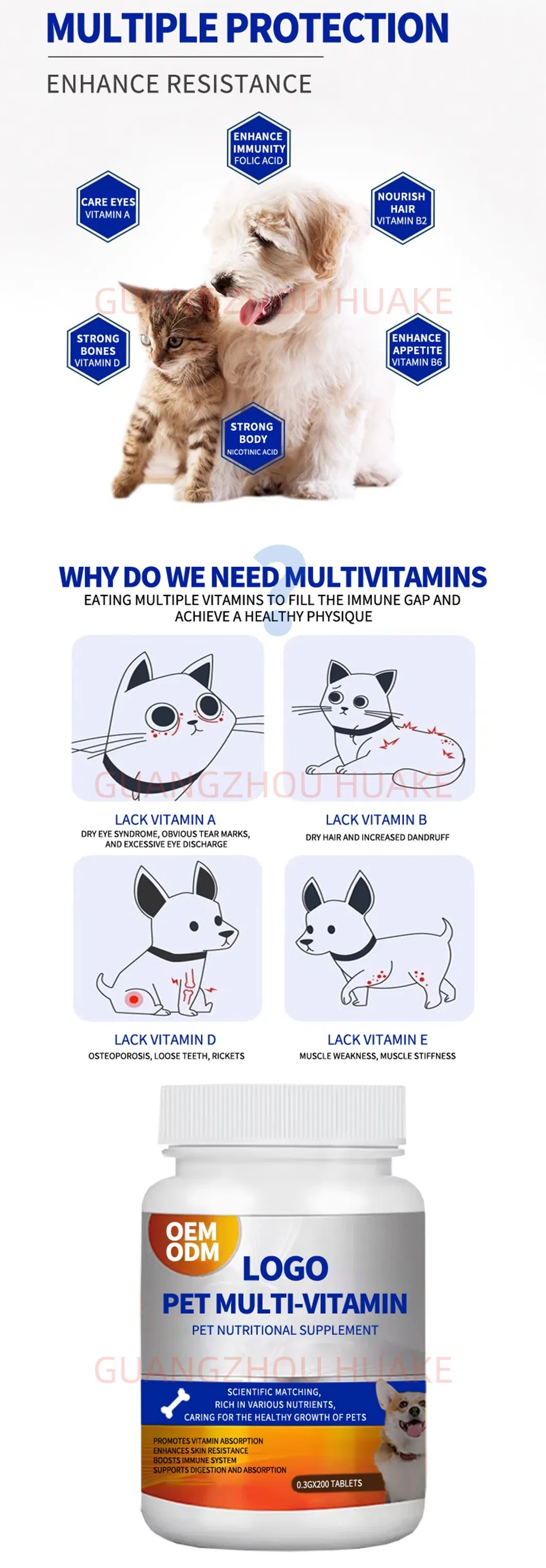 Third-Party Tested Vitamins Quality Guaranteed Multivitamin