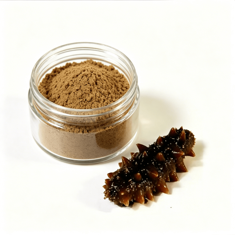 Sea Cucumber Powder Natural Sea Derived Powder Versatile Dietary Ingredient for Daily Healthy Food Collocation
