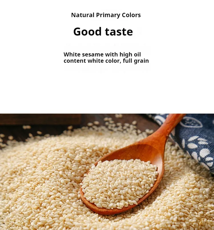 Roasted White Sesame/ 2021/Healthy Ingredient