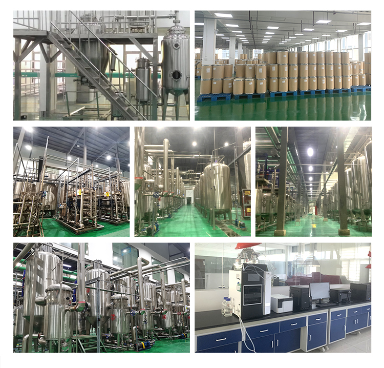 Facility 4