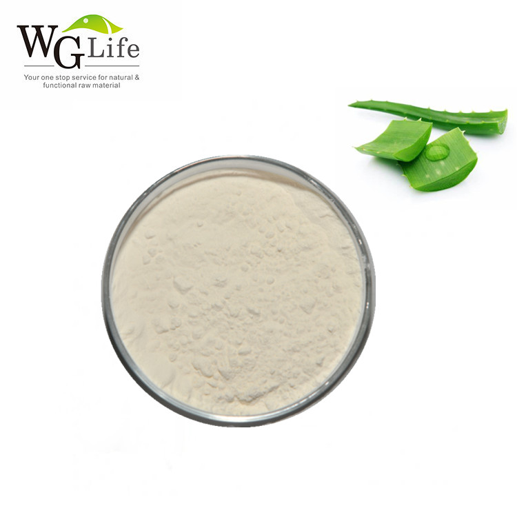 Wholesale 100% Pure Aloe Vera Gel Extract 100x 200x Herbal Powder Natural Cosmetic Ingredients Food Grade Packaged in Drum